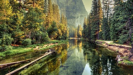 iStock-483724081_peaceful_forest_river.jpg
